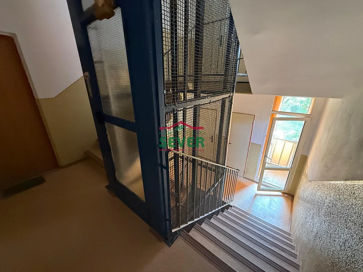 Fotka 11 z 14